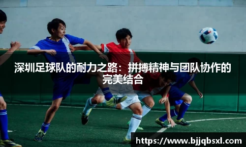 深圳足球队的耐力之路：拼搏精神与团队协作的完美结合
