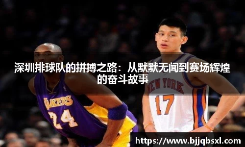 深圳排球队的拼搏之路：从默默无闻到赛场辉煌的奋斗故事